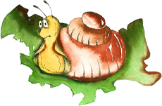 Schnecke aus Der Kleine Andere